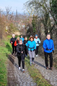 Walkinggruppe Weinheimer, 03-2014