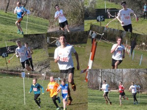 Foto_2016_LVR-Cross Oppenheim_Collage